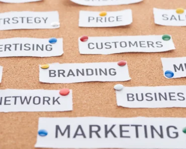 What Defines Informative Labels and Their Impact on ...