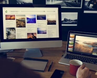 Why Web Development Is Important for All Types of B ...